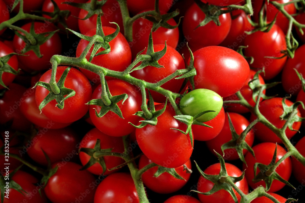 Heap of bright red small cherry tomatoes, one green unripe fruit in middle