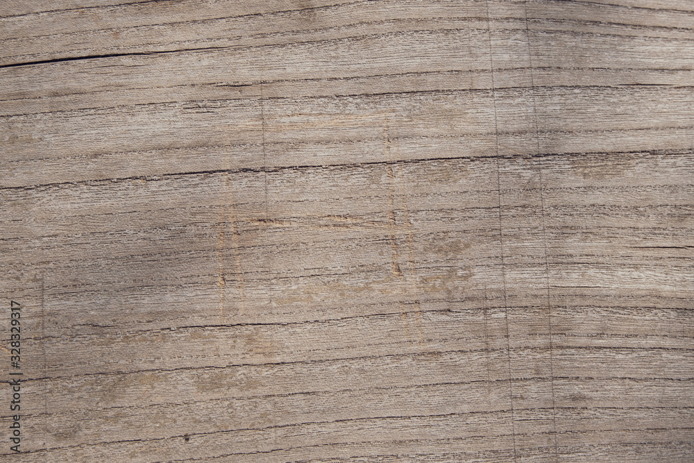 Wood texture. Surface of teak wood background for design and decoration
