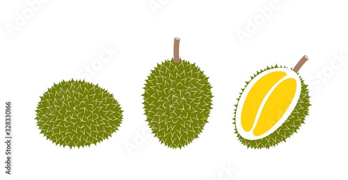 Durian logo. Isolated durian on white background