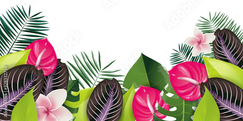 tropical illustration background