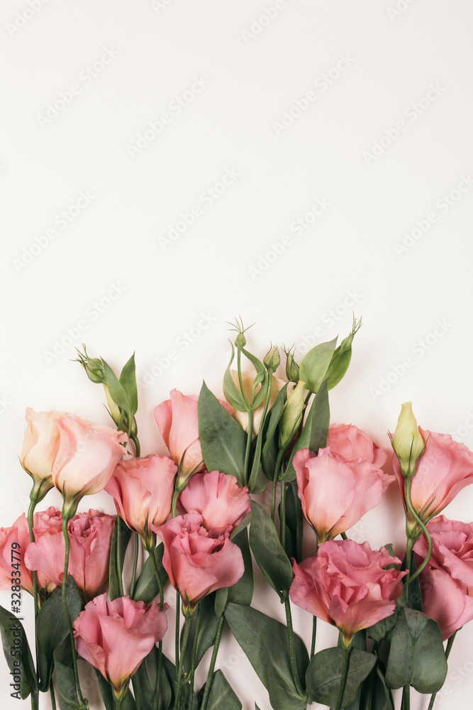 beauty pink eustoma flower isolated on white background