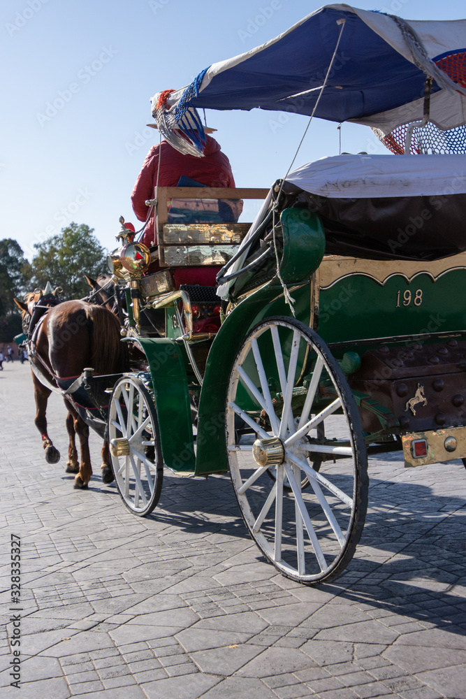 Fototapeta premium Marrakesh City in Morocco
