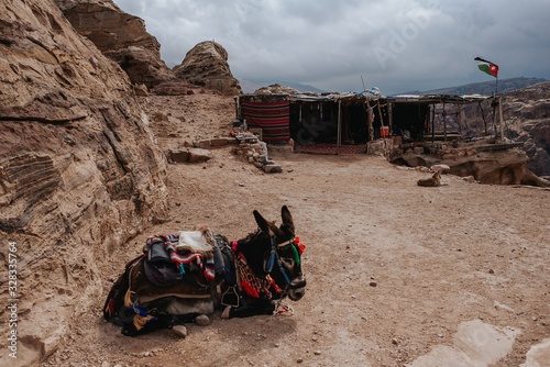 Canvas-taulu bedouin camp in desert