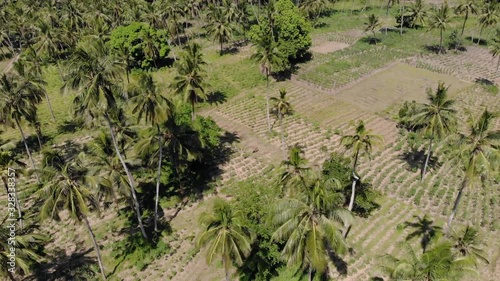 Agriculture Farm close to Africa wild rainforest Ngezi forest reserve at Pemba island, Zanzibar Archipelago aerial shot in Tanzania photo