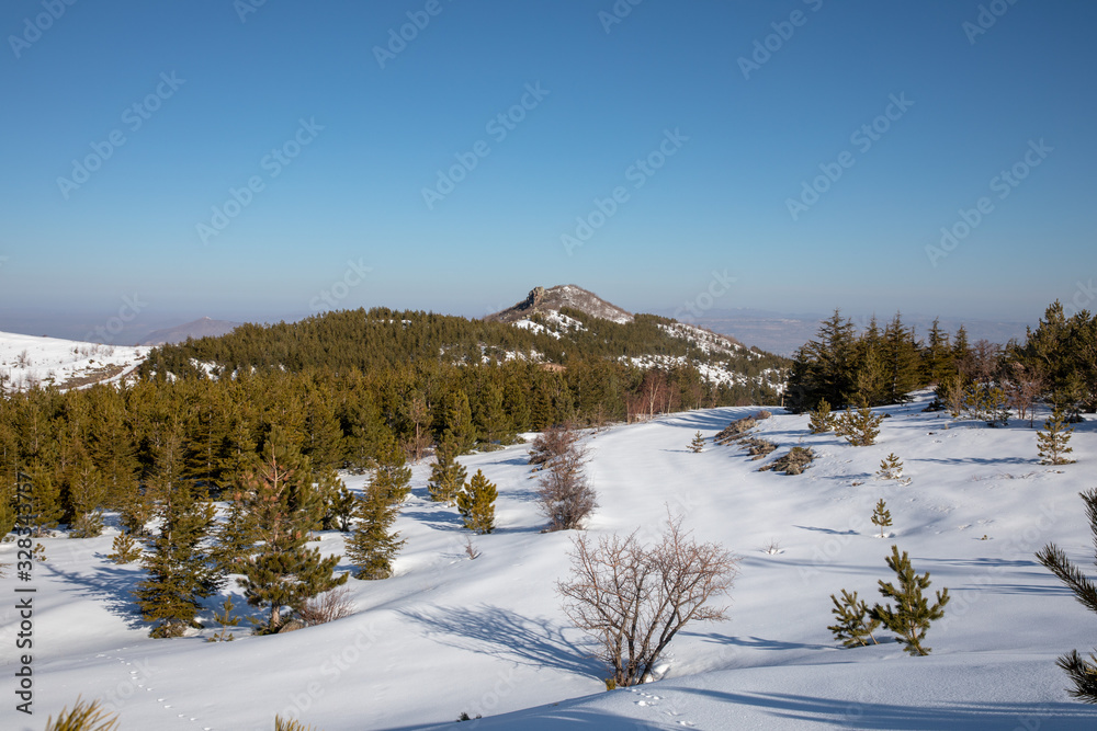 road and forest views from erciyes mountain road and forest views from erciyes mountain