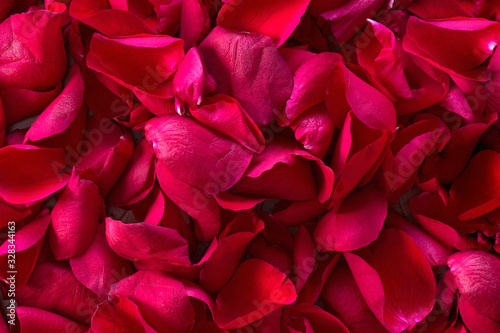 Pile of red rose petals background texture, romantic nature concept