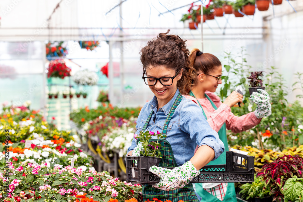 Two woman work in nursery plant with differnt types of flowers