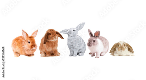 Set of cute and funny rabbits in vector style.