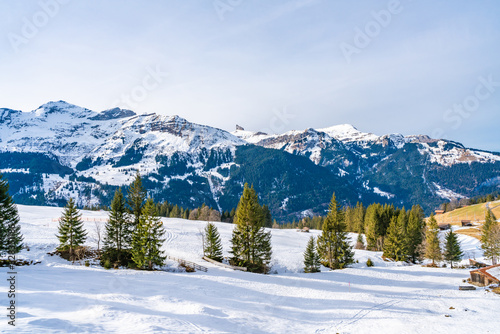 View of snow covered Swiss Alps near Wengen ski resort. Winter in Switzerland