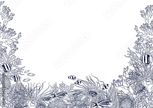 Underwater scenery with corals, sea anemones and tropical fishes.