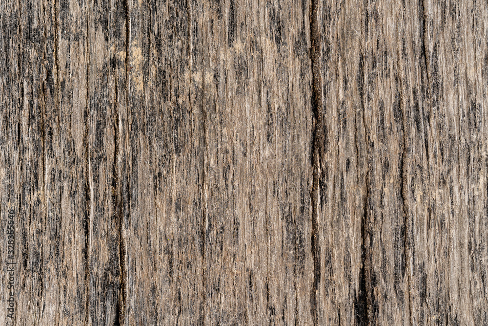 Texture od wooden planks. Wall made of antique wood. Raw wood after century. Texture od wooden planks. Wall made of antique wood. Raw wood after century.