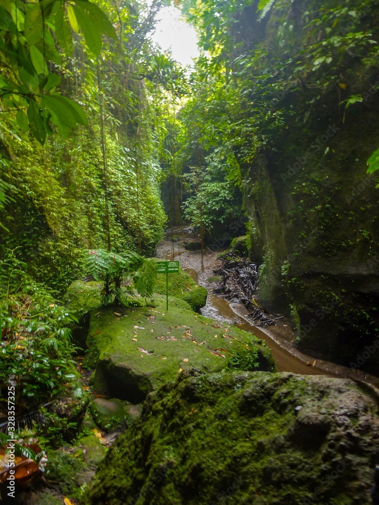 stream in the forest beautiful waterfall that plunges into a canyon stream in the forest beautiful waterfall that plunges into a canyon