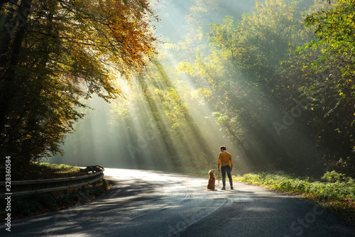 man with a dog together. The rays of the sun on the road. person and a red retriever on a walk.