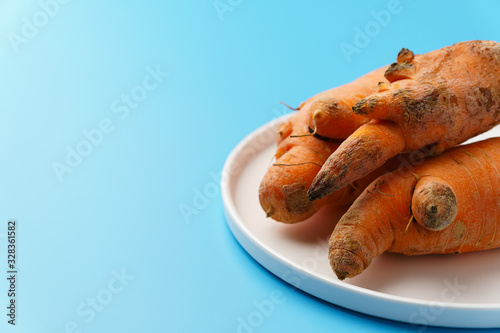 Three ugly carrots in a plate on a blue background. Zero food waste concept. Copy space.