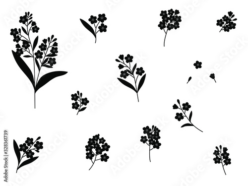 Set forget me not flowers vector black silhouettes graphics botanical illustrations
