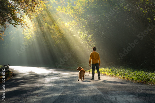 man with a dog together. The rays of the sun on the road. person and a red retriever on a walk.