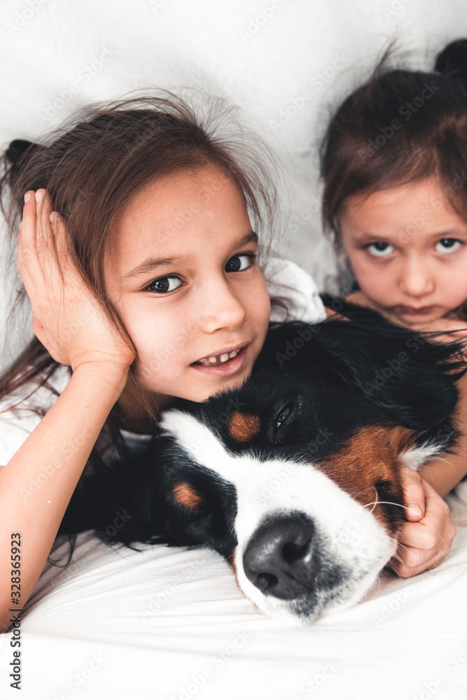 little girls in bed with dog Bernese Mountain Dog, friendship little girls in bed with dog Bernese Mountain Dog, friendship