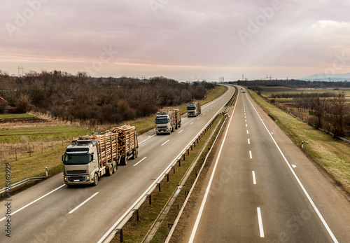 Loaded timber trucks transport timber logs with an overload on the highway. Wood Cargo Transporter. The concept of transportation of timber and wood