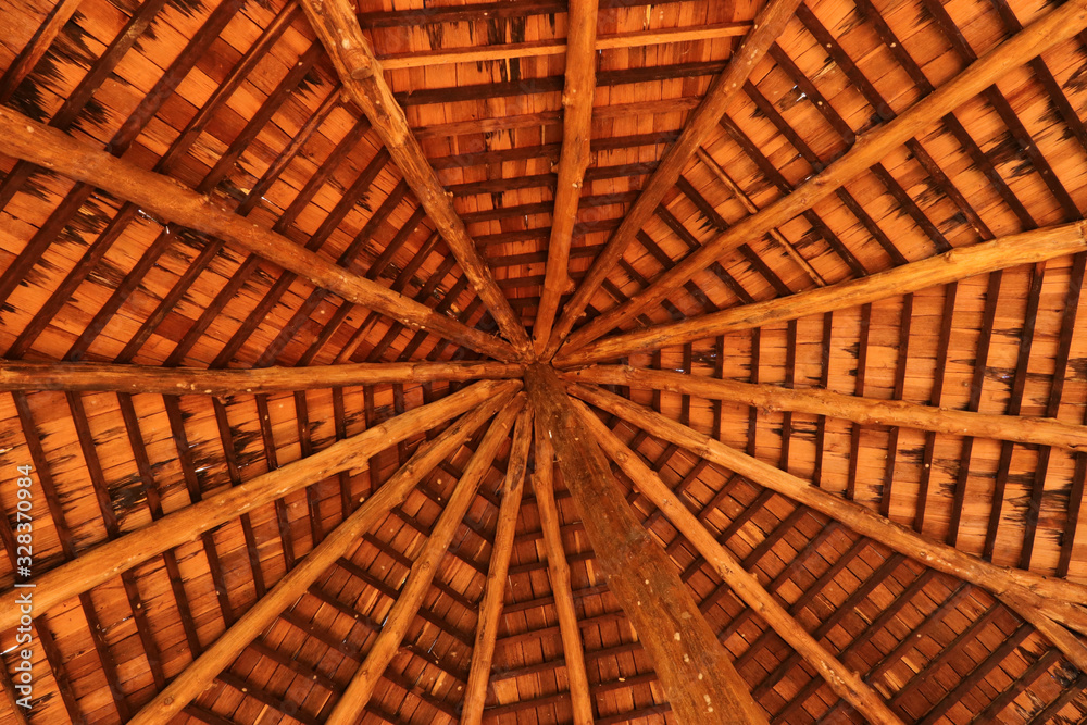 The wood texture background that makes up the roof