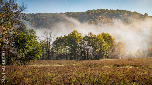 Fog over the bog
