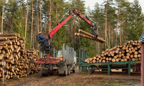 Loading  unloading wood. Logging and transportation. Transport logging and forest industry.