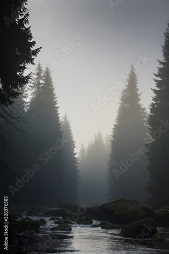 foggy landscape in the morning _Izerskie mountains