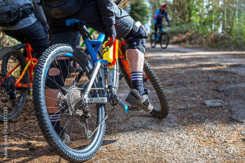 Two cyclists in mountain bikes waiting on the tree-lined path.