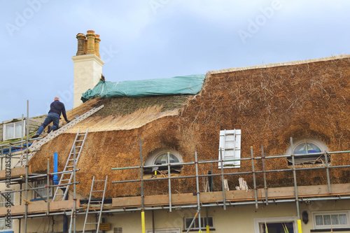 Worker building (thatching) a roof with water reed in Sidmouth, Devon