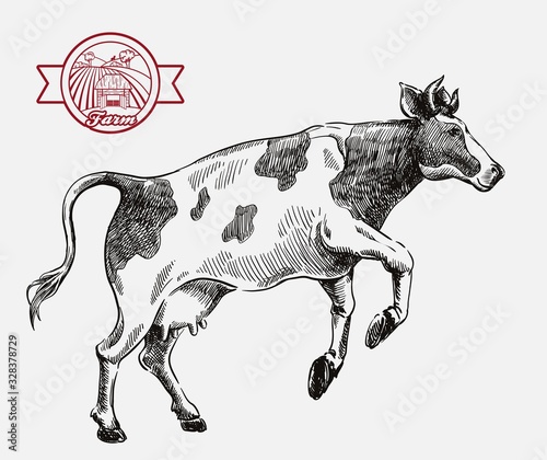 breeding cow. animal husbandry. livestock illustration on a grey