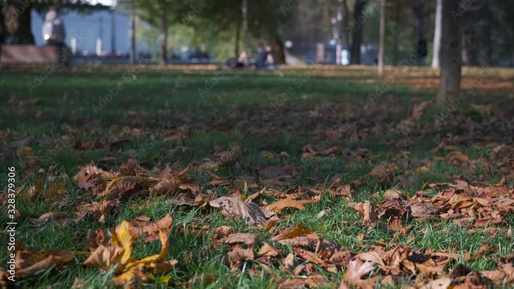 Have a rest in autumn park. Have a rest in autumn park.