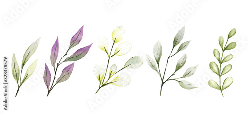 Watercolor leaves and branches, berries, tiny delicate flora colllection