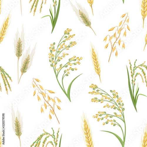 Cereal Plants seamless pattern. Ears of Wheat, Oats, Rye, Proso Millet and Rice isolated on white background. Vector illustration of crop in cartoon simple flat style. 