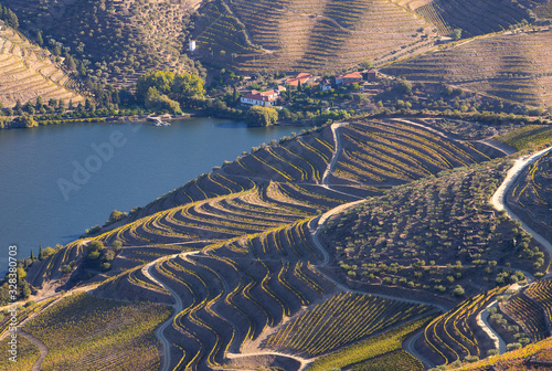 Alto Douro vinhateiro vineyards scenic landscape during harvesting season (vindima) - UNESCO World Heritage © JBCarvalho
