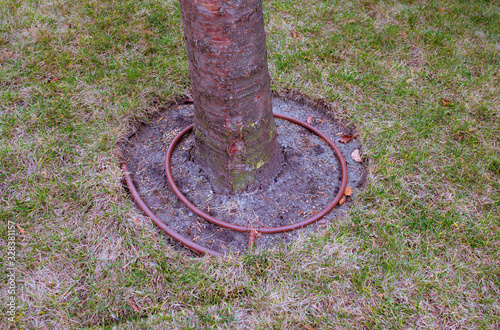 modern drip system for a tree in a park
