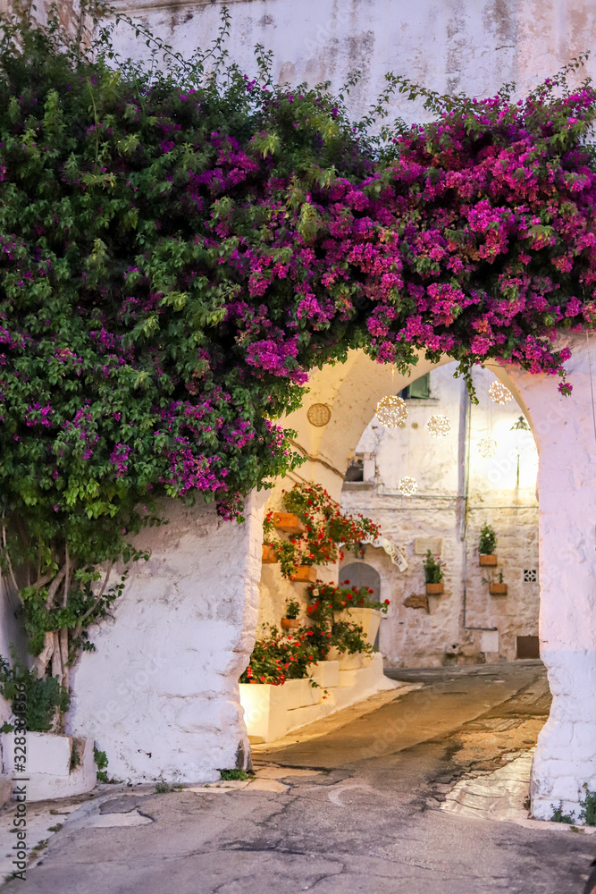Purple flowers on the white wall with arch in a historic ancient center of Italian town