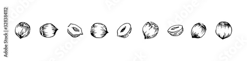 Hand drawn hazelnuts set, ink drawing sketch vector illustration, black isolated botanical illustration on white background