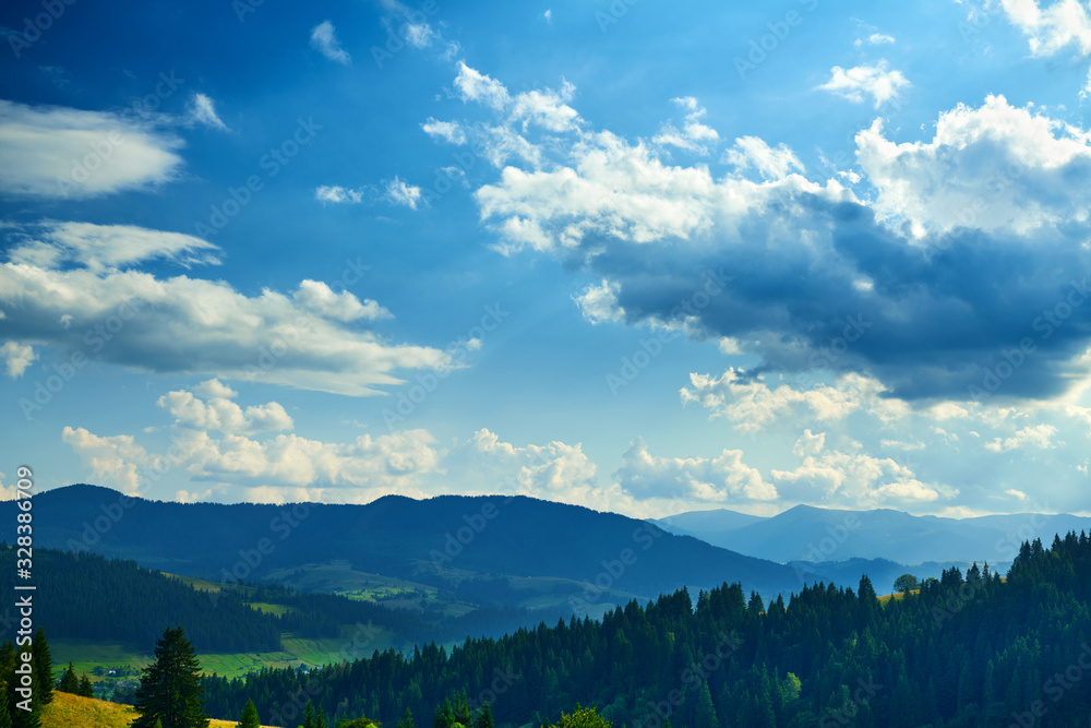 nature, beautiful cloudy sky, summer landscape in carpathian mountains, wildflowers and meadow, spruces on hills