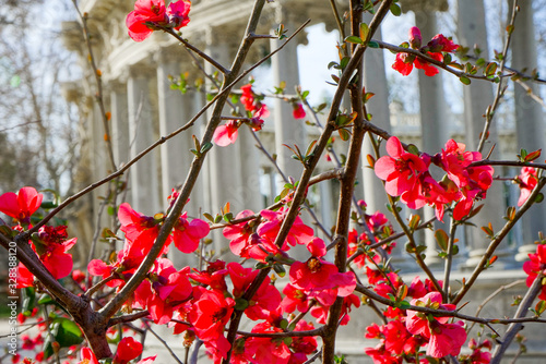 Primavera 004