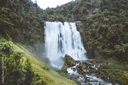 waterfall in forest