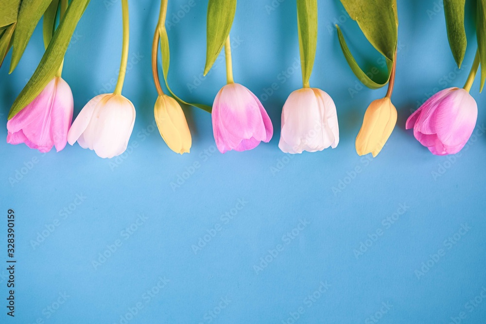 Easter background with tulips Easter background with tulips