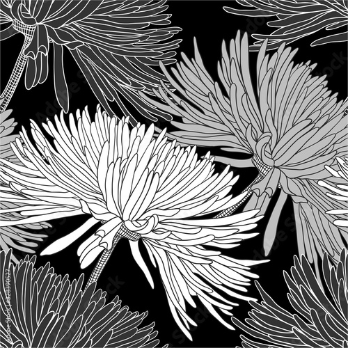 Seamless pattern with chrysanthemums in black white grey for decoration textile and cloth or for wallpaper and draper or for background of different things