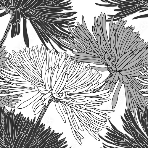 Seamless pattern with chrysanthemums in black white grey for decoration textile and cloth or for wallpaper and draper or for background of different things
