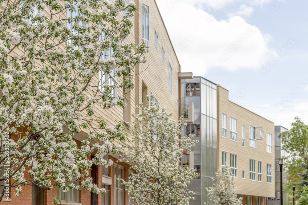 Fototapeta premium Modern neighborhood in spring