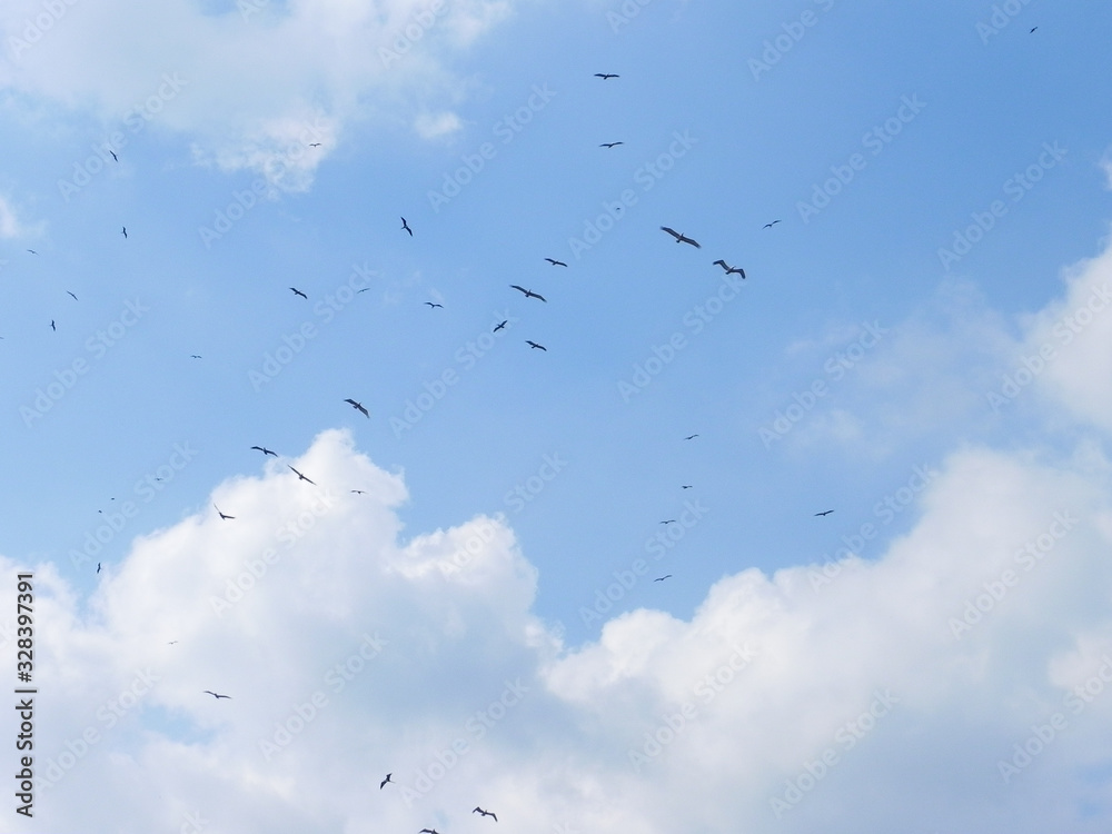 Obraz premium puerto amador