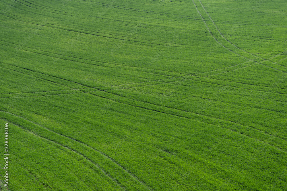 aerial view of a green crop field aerial view of a green crop field
