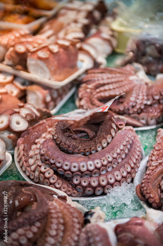 Fresh Octopus at the Fish Market