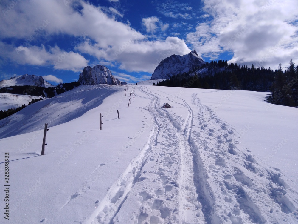 winter mountain landscape with mountains and blue sky Gantrisch Nature Park horizontal view Switzerland 