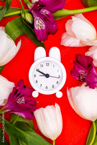Fototapeta Naklejka Na Ścianę i Meble -  White alarm clock and delicate white tulips on a red background. View from above. A time of love and congratulations.
