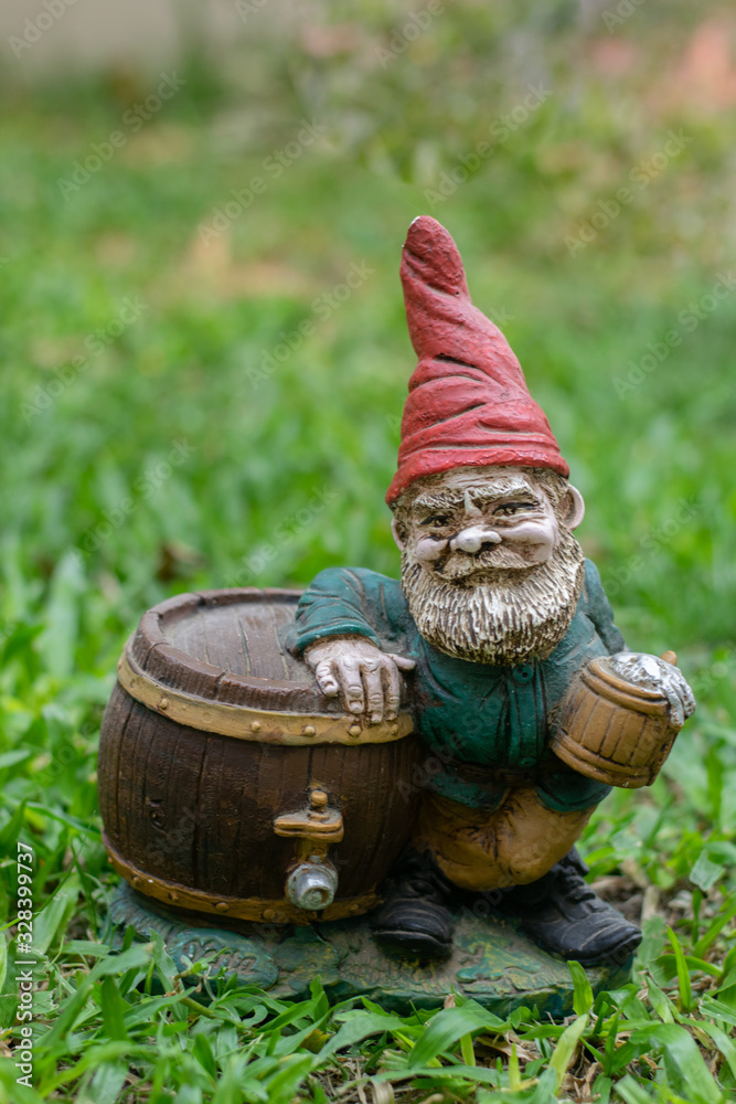 Fototapeta premium Gnomes