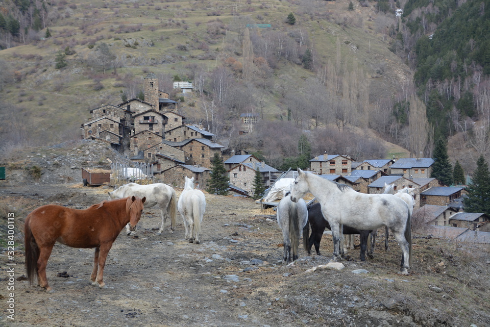 White and brown horses released in front of the town of Os de Civis in Lleida, near Andorra White and brown horses released in front of the town of Os de Civis in Lleida, near Andorra